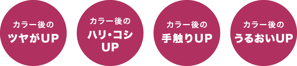 ゴッホカラーのポイント