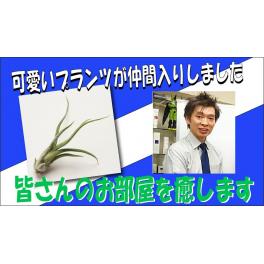 【浜松】あなたの職場やお部屋を癒しの空間にします　育てやすい植物を揃えました