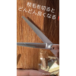 枝毛をカットでトリートメント