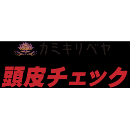 カミキリベヤ抜け毛、薄毛対策『ヘッドスパ』　　～60分コース～　