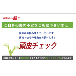 「浜松初」家康も知りたい⁉　育毛をしたい　ヘッドスパって効果的なの？