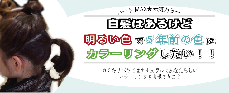 白髪だけど5年前のような色にしたい