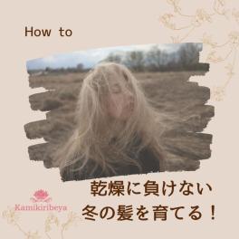 冬の髪はどうしてパサパサするの?